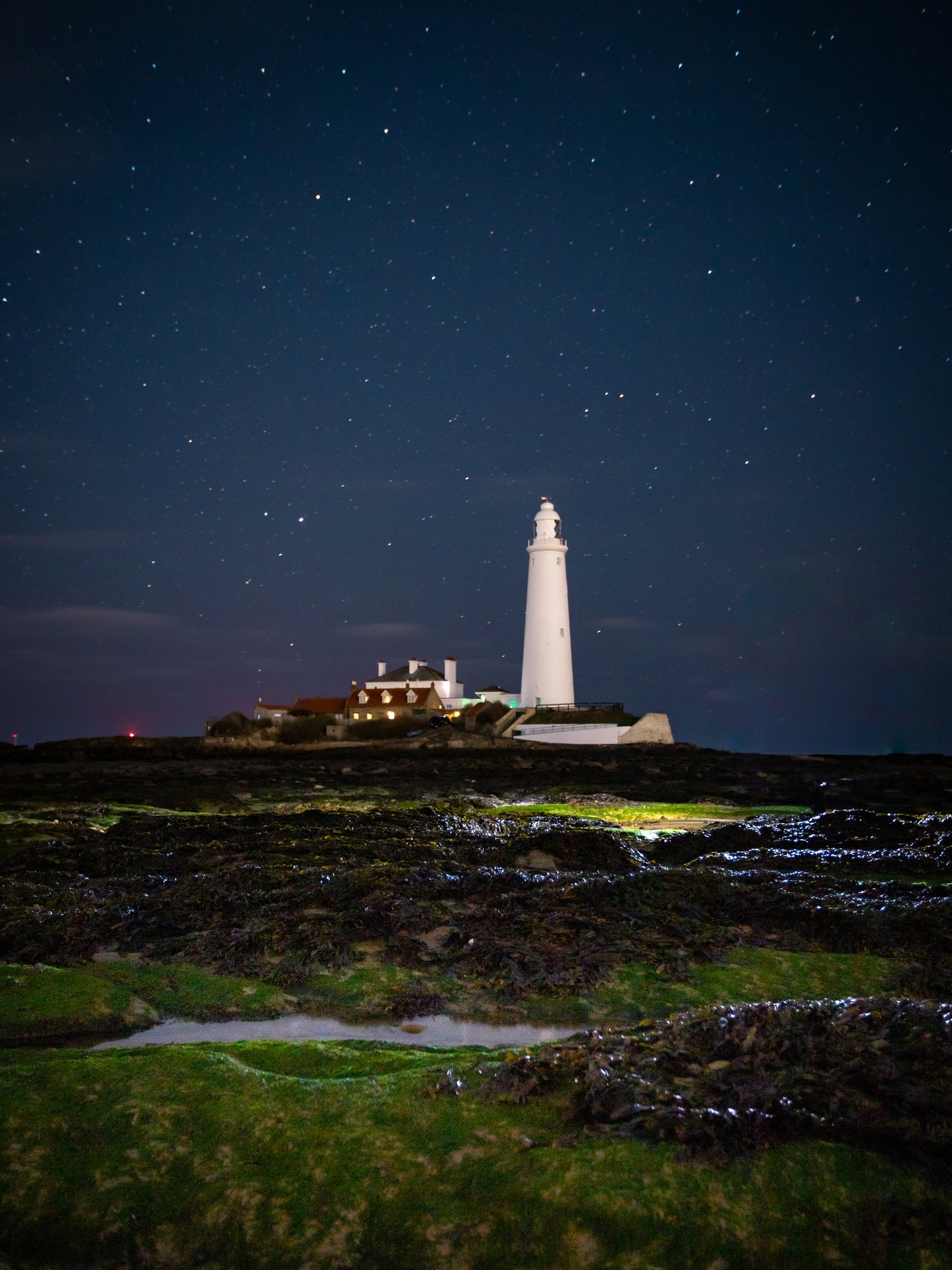 #128 St. Mary's Lighthouse under the stars