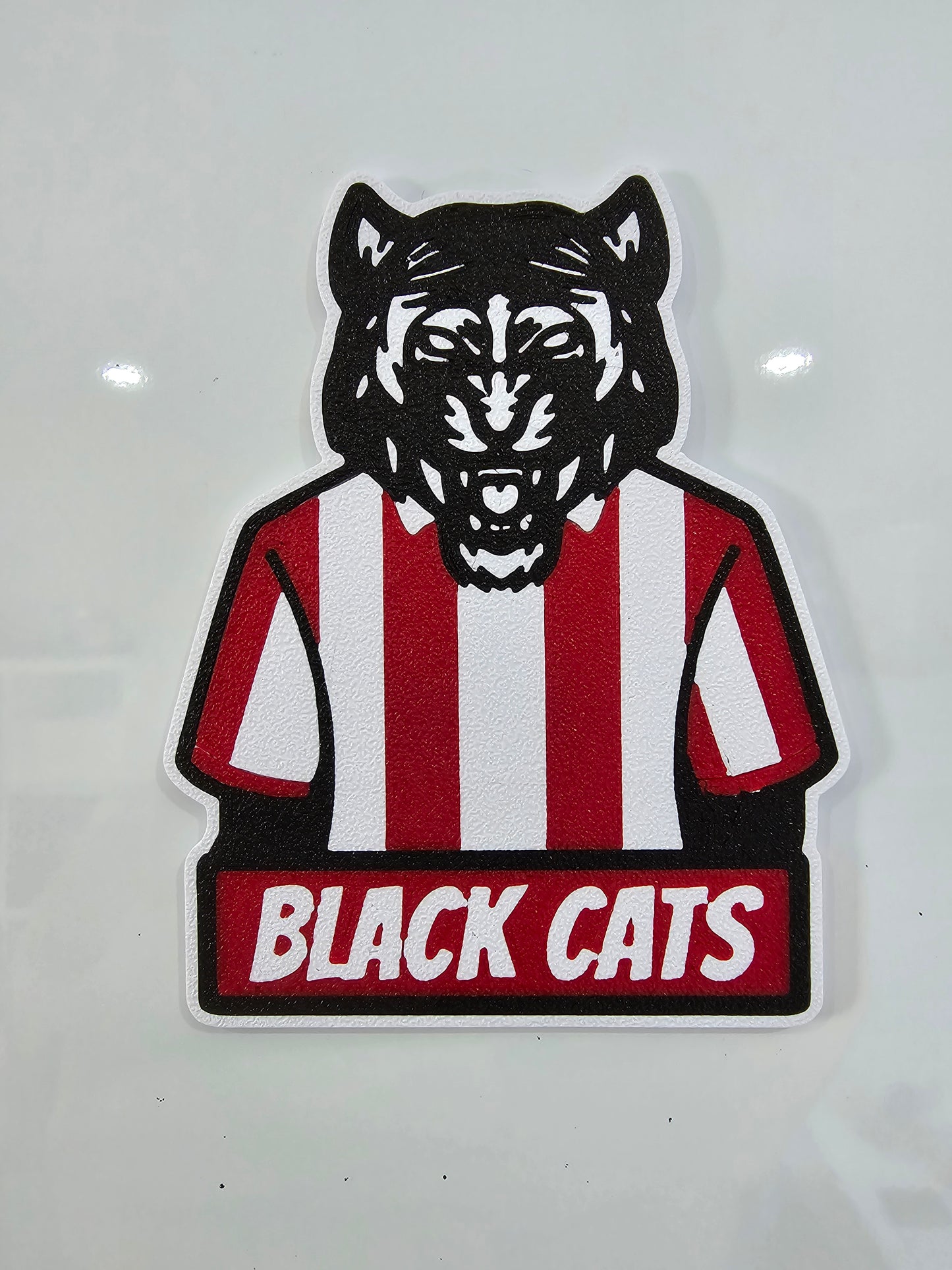 Fridge magnets,  North East gifts, sanddancer,  geordie gifts