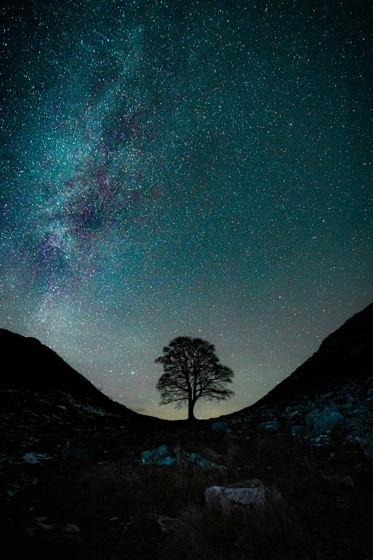 #081 sycamore gap milky way