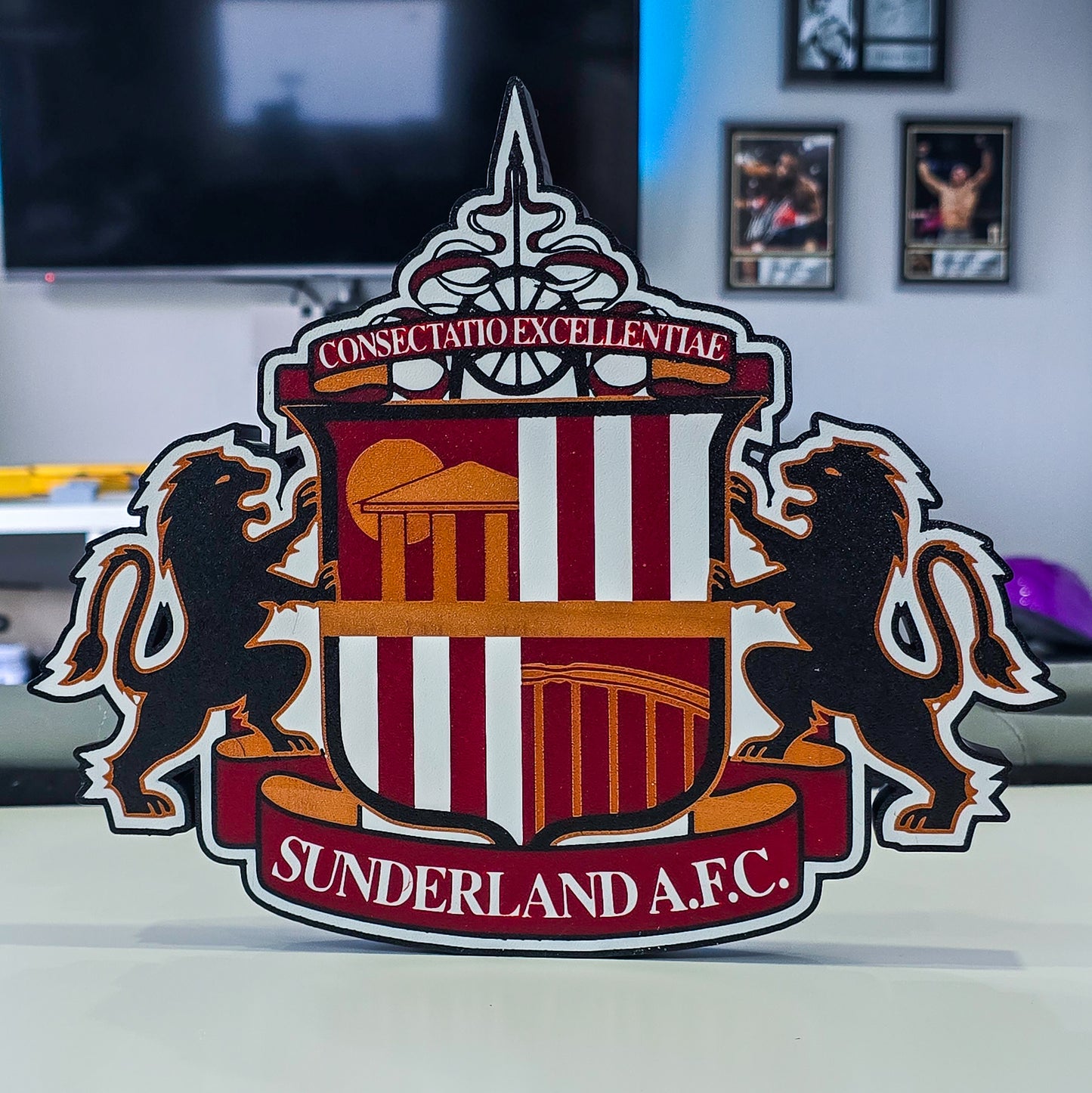 Sunderland plaque