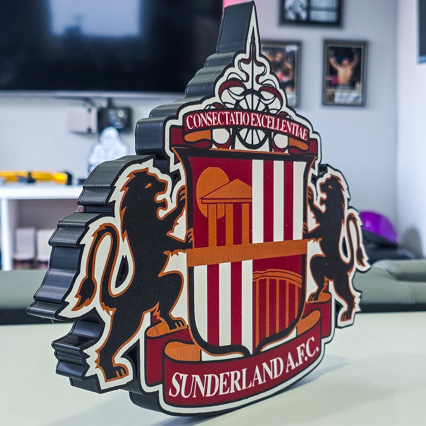 Sunderland plaque