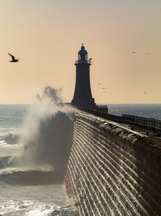 #108 Tynemouth pier