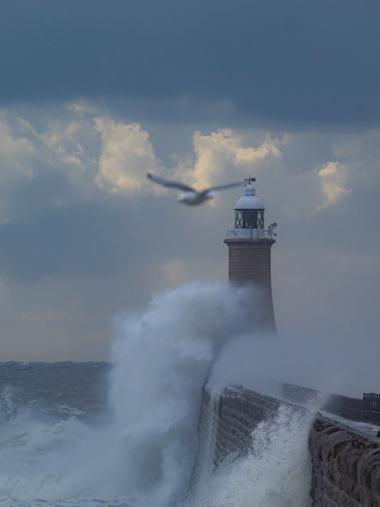 #111 Tynemouth pier