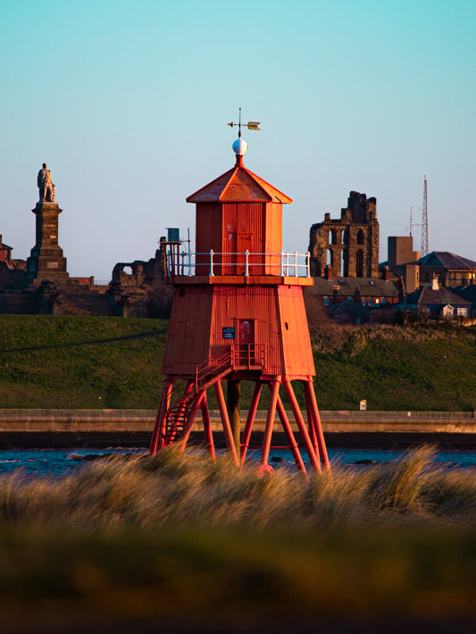 #115 the herd groyne