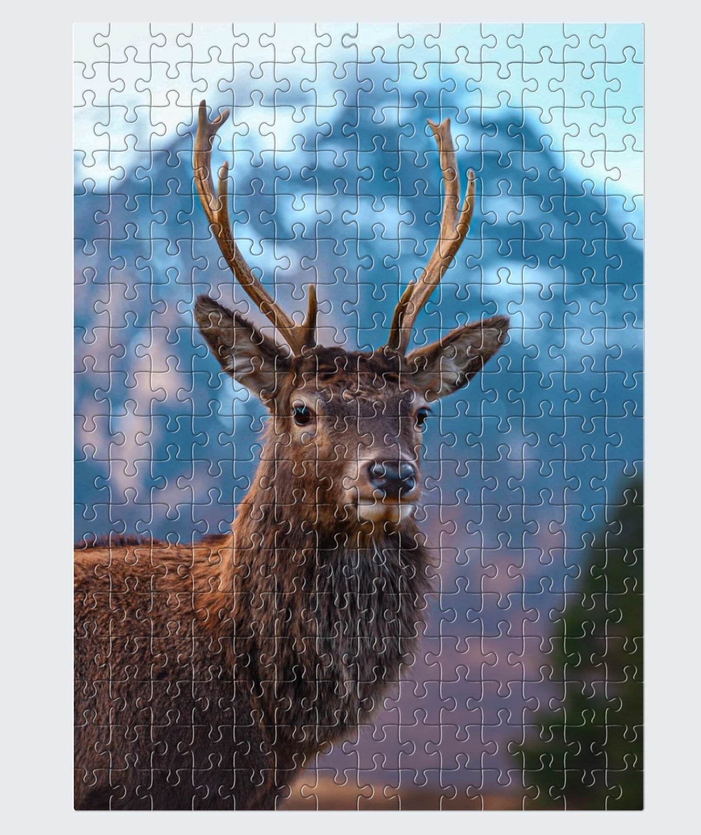 Jigsaw 20 x 29cm 98 piece