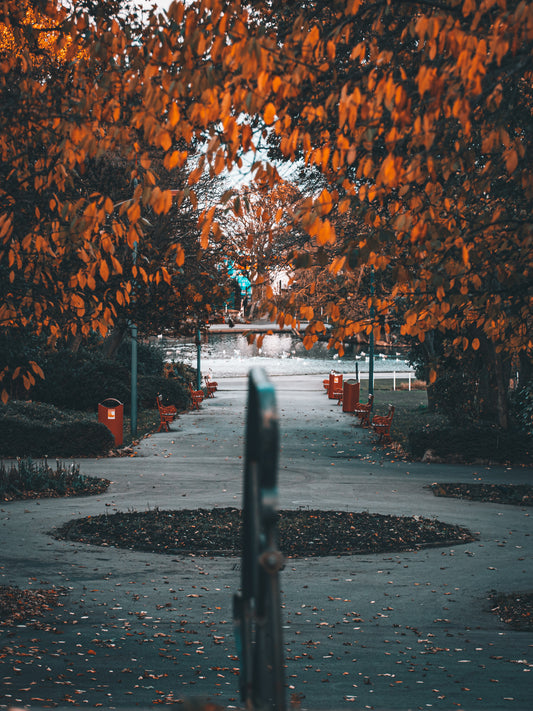 #025 marine Park South Shields